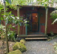 Springbrook Lyrebird Retreat - Yamba Accommodation