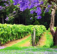Bago Vineyards - Yamba Accommodation