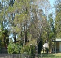Nimbin Backpackers at Grannys Farm - Yamba Accommodation