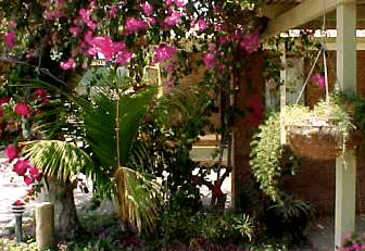 Denham Villas - Yamba Accommodation