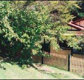 Apple Tree Cottage - Yamba Accommodation