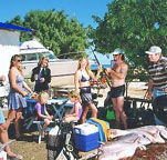 Shark Bay Cottages - Yamba Accommodation