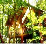 The Canopy Treehouses - Yamba Accommodation