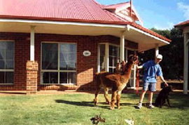 Nillup WA Yamba Accommodation