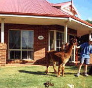 Brilea Cottages - Yamba Accommodation