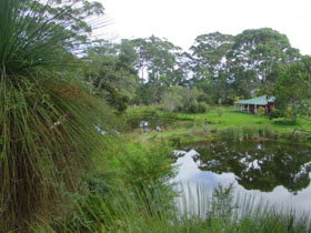 Crystal Springs Homestead - Yamba Accommodation 1
