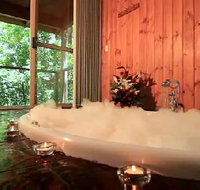 Tree Houses Of Montville - Yamba Accommodation