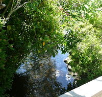 Mole Creek Hotel - Yamba Accommodation