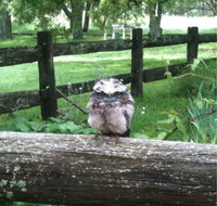 Milton Park - Yamba Accommodation