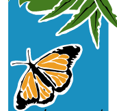 Wanderers Retreat - Yamba Accommodation
