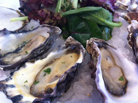 Duke Of Wellington Hotel - Yamba Accommodation 0