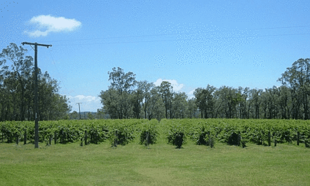 Copper Country Motor Inn - Yamba Accommodation 3