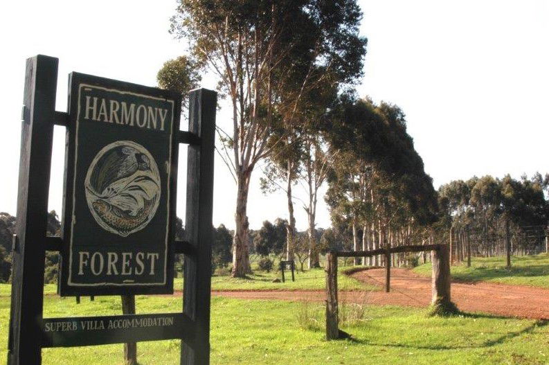  Yamba Accommodation