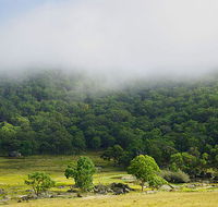 Tor Cottage at Anketell Forest