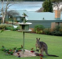 Gipsy Point Lakeside - Yamba Accommodation