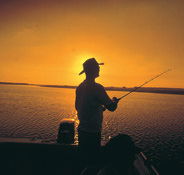 Point Stuart Wilderness Lodge - Yamba Accommodation