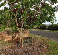 Belle Vue Studio - Yamba Accommodation