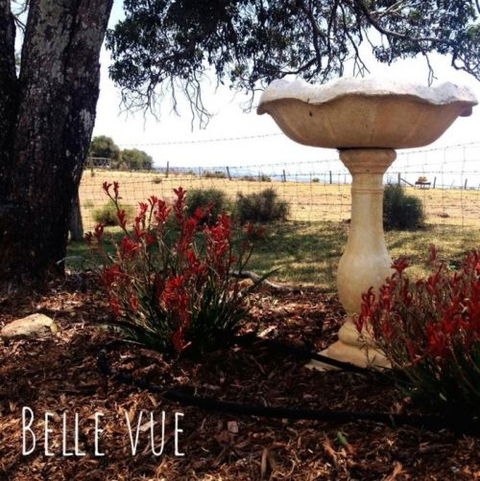 Belle Vue Studio - Yamba Accommodation 1