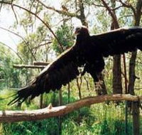 Curlew Hill Sanctuary - Yamba Accommodation