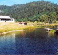 Millybrook Lodge - Yamba Accommodation