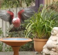 Wattle Court  Retreat - Yamba Accommodation