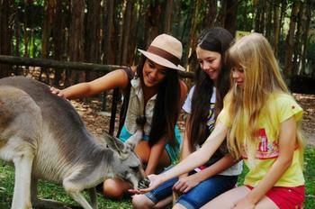 Pacific Horizons Resort - Yamba Accommodation 23