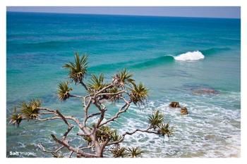 Pacific Horizons Resort - Yamba Accommodation 24