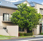 Quest Maitland Serviced Apartments - Yamba Accommodation