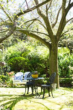 Adeline Bed And Breakfast - Yamba Accommodation 7