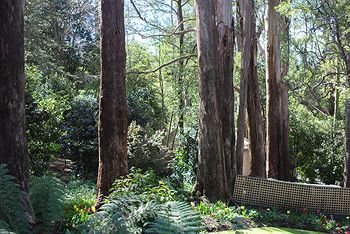 Adeline Bed And Breakfast - Yamba Accommodation 8