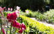 Adeline Bed And Breakfast - thumb 17