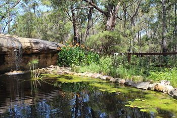 Storey Grange - Yamba Accommodation 12