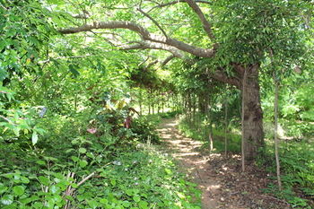 Storey Grange - Yamba Accommodation 13