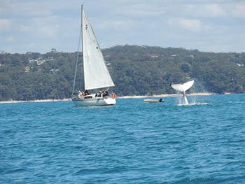 Paradise Bungalow - Yamba Accommodation 4