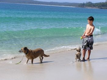 Paradise Bungalow - Yamba Accommodation 19