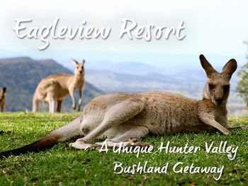 Eagleview Resort - Yamba Accommodation 45