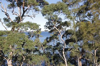 The Edgewater Bed & Breakfast - Yamba Accommodation 0