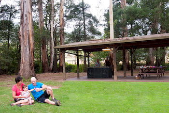 BIG4 Yarra Valley Holiday Park - Yamba Accommodation 0