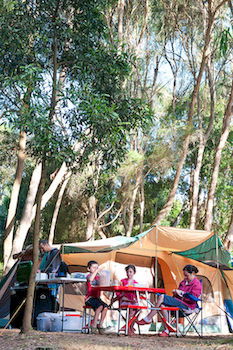 BIG4 Yarra Valley Holiday Park - Yamba Accommodation 8
