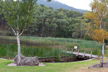 BIG4 Yarra Valley Holiday Park - Yamba Accommodation 12