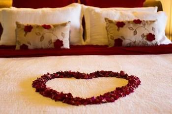 Montville Misty View Cottages - Yamba Accommodation 10