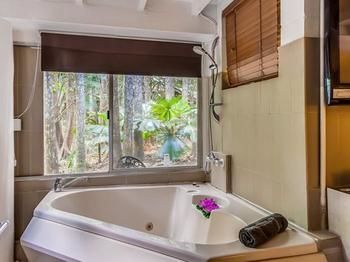 Tanglewood Gardens - Yamba Accommodation 17