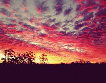 The Spotted Chook - Yamba Accommodation 15