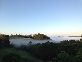 The Spotted Chook - Yamba Accommodation 16