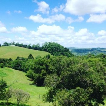 The Spotted Chook - Yamba Accommodation 23