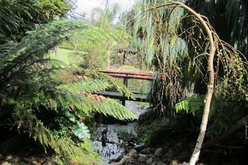 Cherryblossom B&B - Yamba Accommodation 5