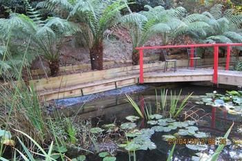 Cherryblossom B&B - Yamba Accommodation 7