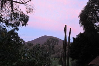 Cherryblossom B&B - Yamba Accommodation 35