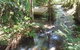Treetops Accommodation Montville - thumb 0