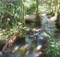 Treetops Accommodation Montville - Yamba Accommodation
